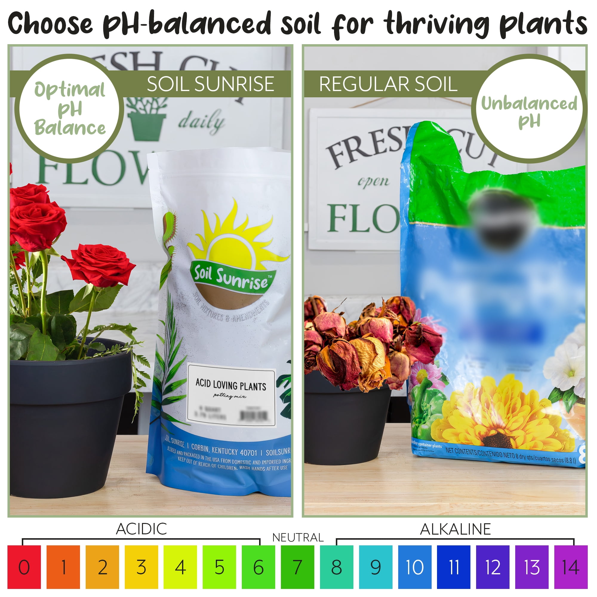 Acid Loving Plant Potting Soil Mix (12 Quarts), Premium Container Blend pH Balanced for Azaleas, Rhododendrons, Blueberries and More