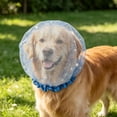 thumbnail image 3 of Mesh Eating Cover for Pet Head, Anti-Scavenging Eating Cover for Small Dogs Cats, Breathable Elastic Hood Barrier, Suitable for Outdoor Walk Protection, 3 of 5