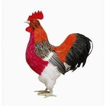 Plush Stuffed Animal Toys Realistic La Coq gaulois Rooster Handmade Plush Toy Present Gift