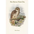 thumbnail image 1 of Ninox Odiosa - New Britain Hawk-Owl-Fine Art Canvas Print (20" x 30"), 1 of 1