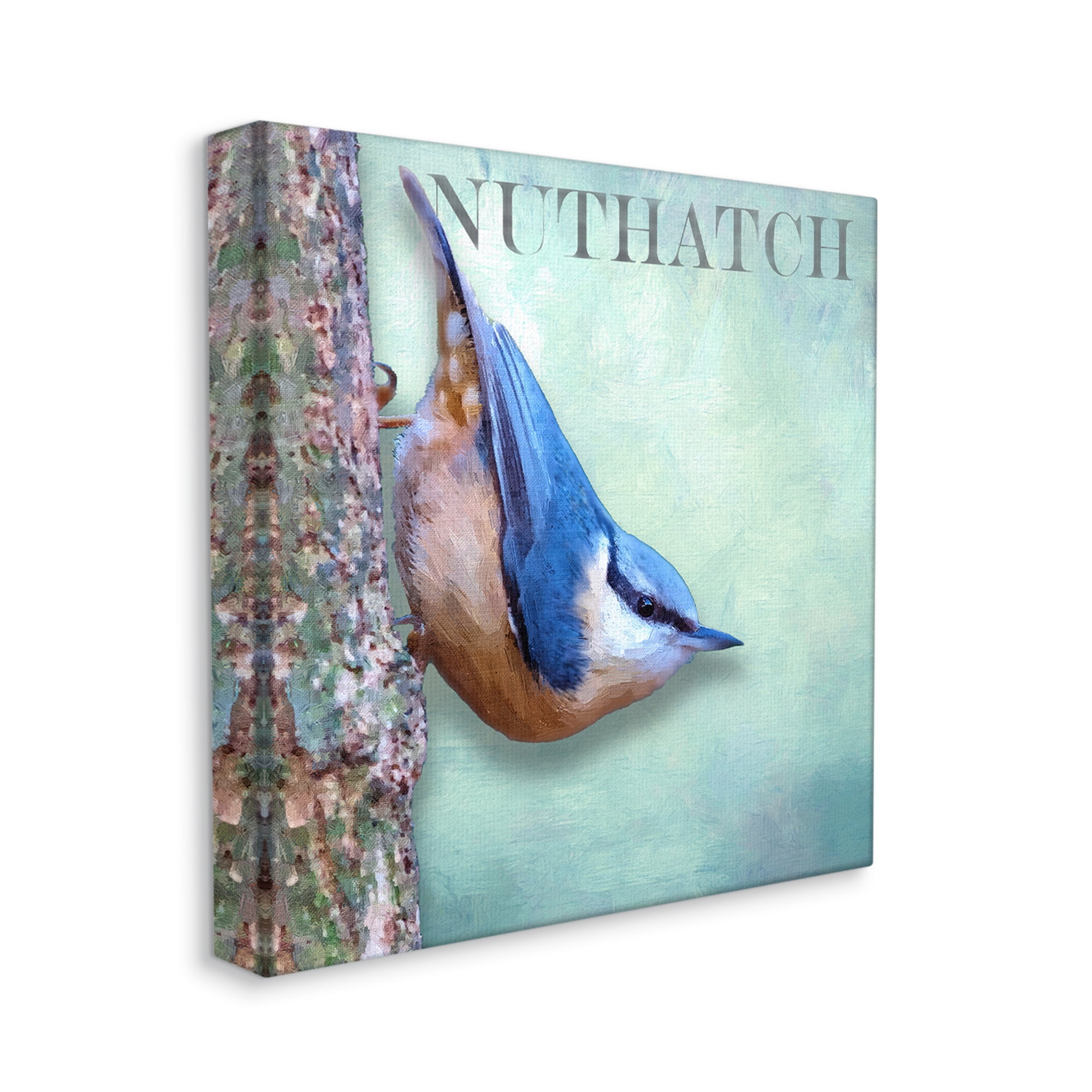 Stupell Industries Blue Nuthatch Bird Climbing Tree Forest Wildlife Graphic Art Gallery Wrapped Canvas Print Wall Art, Design by Alpenglow Workshop
