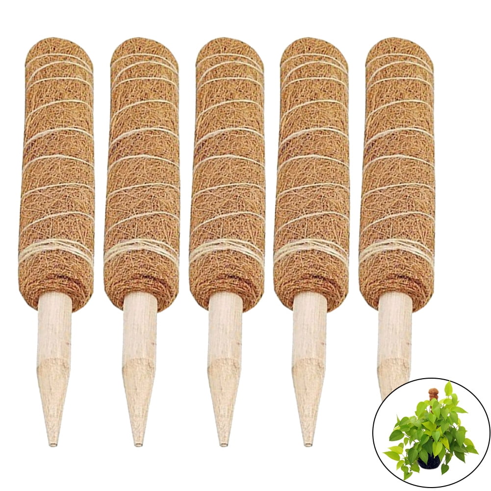 Cyan oak Plant Support Sticks 12 Inch Fiber Wooden Plant