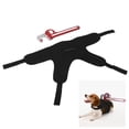 thumbnail image 1 of Pet Supplies, Dog Halloween Costume Long Lasting And Lightweight Adjustable Size Design  For Parties For Home For Halloween For Activities, 1 of 8