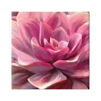 Stupell Industries Pink Succulent Leaves Botanical & Floral Painting Gallery Wrapped Canvas Print Wall Art, 24 x 24