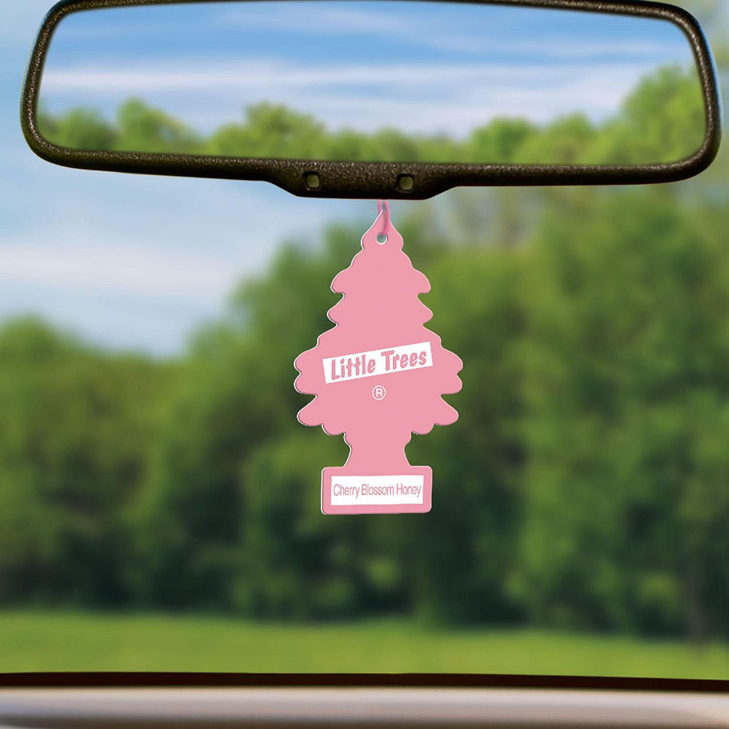 LITTLE TREES air freshener Cherry Blossom Honey 3-Pack