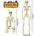 thumbnail image 2 of TETOU 2Pcs Skeleton Hallowe'en Decorations, 14.5" Realistic Full Body Movable Posable Joints Skeleton, Creepy Plastic Skeleton for Hallowe'en Party Haunted House Props Indoor Outdoor Decor-White, 2 of 7