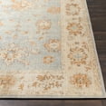 thumbnail image 6 of Surya Amelie AML-2302 Indoor Area Rug, 6 of 7