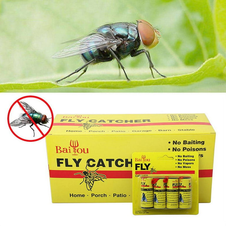 16 Rolls Fly Paper Strips - Fly Tapes Fly Paper Sticky Fly Trap Indoor/Outdoor  Hanging,Fly Catcher Fly Ribbon Fungus Gnat Trap Fruit Fly Killer for  Plants/House/Kitchen/Horse Stable (16) 