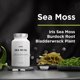 thumbnail image 3 of Suplemento Amen Sea Moss 1000 mg con fucus y bardana, 3 of 9