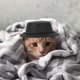 thumbnail image 5 of 1 juego de gorro decorativo para hámster, pajarita ajustable para conejo, disfraz para mascota pequeña, 5 of 6