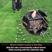 LawnMaster MEB1216K 16-Inch Corded Electric Lawn Mower, 12AMP, Folded, 5 Heights, 8-Gallon Bag, Lightweight for Small & Medium Lawns