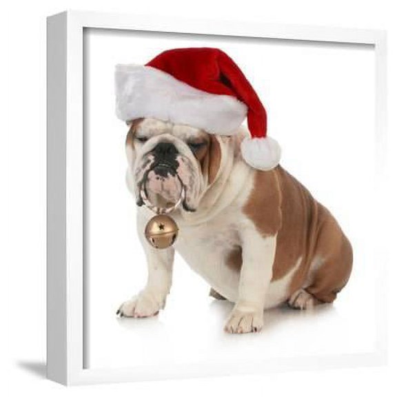 Christmas Dog  English Bulldog Wearing Santa Hat Holding Christmas Bell, Animals Seasons Framed Art Print Wall Art by Willee Cole Sold by Art.Com