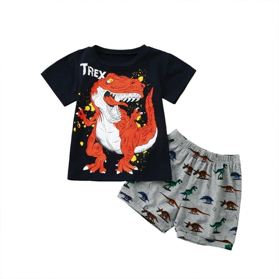 WOYY Boys Dinosaur Outfits Casual Short Sleeve T-Shirt and Shorts Set for Kids, Sizes 1-6