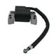 thumbnail image 3 of Accesorio Para herramientas de jardín de repuesto de bobina de encendido ANGGREK 695711 802574 493237 796964 492416, 3 of 8
