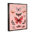 thumbnail image 4 of Stupell Industries Various Moths on Pink Animals & Insects Painting Black Floater Framed Art Print Wall Art, 17 x 21, 4 of 10