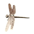 thumbnail image 3 of Dragonfly Statue Animal Figurine Sculpture Brass Metal Craft for Home Office Desk Decor for Art Lovers, 3 of 7