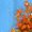 FLOBLUE, variant on Cute Halloween Bear Graphic T-Shirt, Pumpkin Costume Teddy Design Tee, Fall Spooky Season Shirt