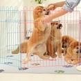 thumbnail image 6 of PETMAKER 55x28 Extra Large PVC Dog Mat for Food and Water, Crate Pad and Floor Protector, Paw Prints, 6 of 8