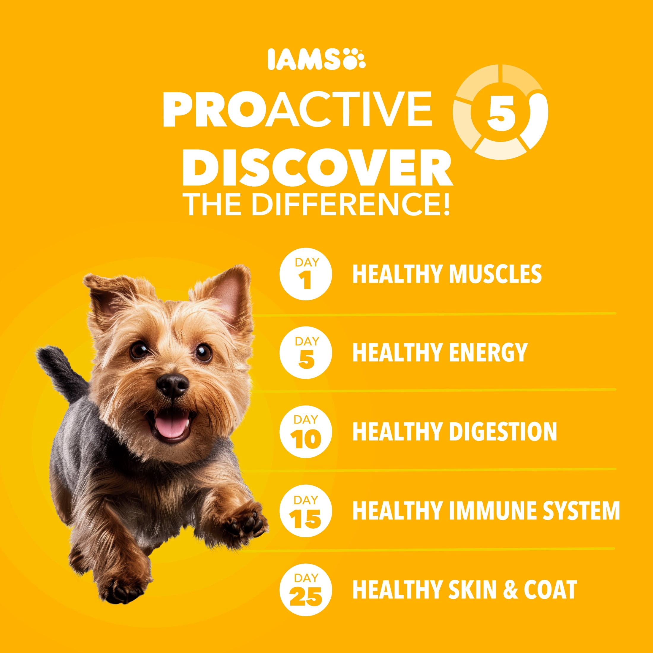 Iams Proactive Health Chicken Dry Dog Food for Puppies, 7 lb Bag
