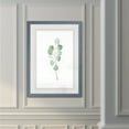thumbnail image 3 of Wexford Home Soft Eucalyptus Branch III-Framed Print - Grey - 22X30, 3 of 4