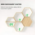 thumbnail image 2 of Raindrops 100 pcs 5CM Artificial Mini Succulent Cactus Miniatures Plastic Ornaments, 2 of 8