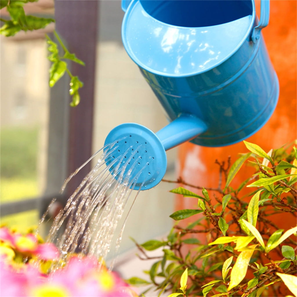Watering Can for House Plant Garden Flower Indoor Plant Small Watering Can
