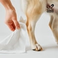 thumbnail image 4 of Toallitas para perro Wags & Wiggles hipoalergénicas para piel sensible 100 piezas, 4 of 6