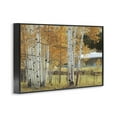 thumbnail image 3 of Stupell Industries Autumnal Birch Beauty Black Framed Giclee Art design by Mike Jones, 12 x 18, 3 of 8