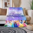 thumbnail image 5 of Manta ligera con estampado de princesas de Disney para sala de estar, dormitorio, habitación de niños, manta cálida, regalo de Navidad, 5 of 5