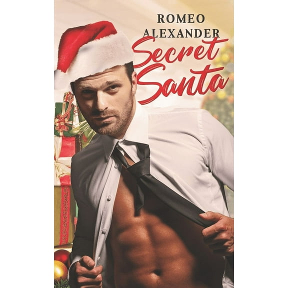 Secret Santa (Paperback)
