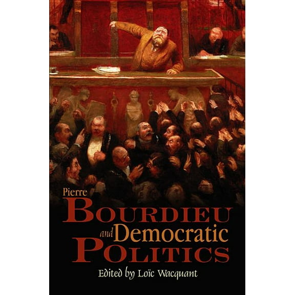 Pierre Bourdieu and Democratic Politics: The Mystery of Ministry (Paperback)