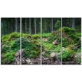 thumbnail image 2 of Roches et Collines de Forêt Profonde Sauvage, 2 of 3