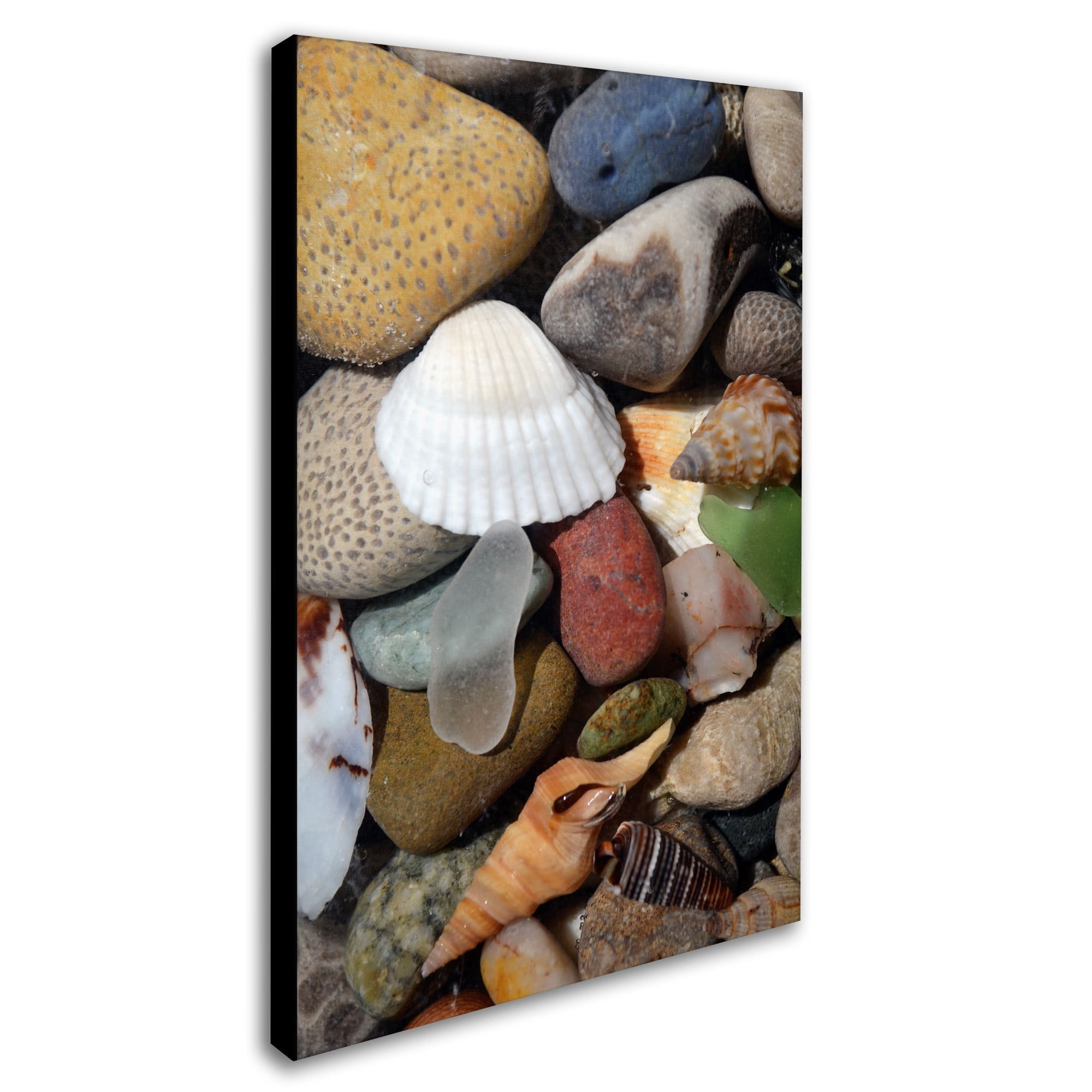 Trademark Fine Art "PetoskeyStones lV" Canvas Art by Michelle Calkins