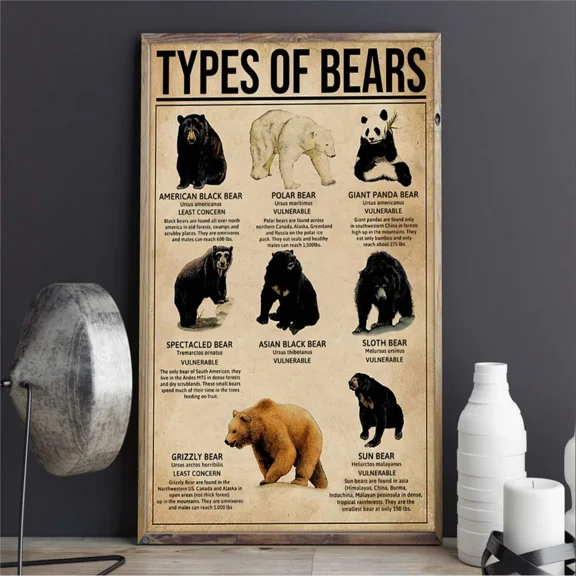 Poster Types Of Bears Animal, Wall Art, Unframed Prints For Home Or Office, Perfect Gift For Everyone, 8x12