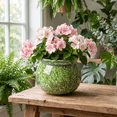 thumbnail image 5 of EFISPSS Hand-Patted Glaze Self Watering Ceramic Planter with Inner Clay Pot, 6 Inch Sage Green African Violet Pots, Easy Care Indoor Plant Pot for Home Decor, 5 of 8