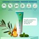 thumbnail image 2 of Adhesivo para dentaduras DENTTACH Fresh Mint 68 g sin zinc, 2 of 3