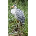 thumbnail image 5 of Hi-Line Gifts 10.75" Standing Heron Outdoor Garden Statue, 5 of 5