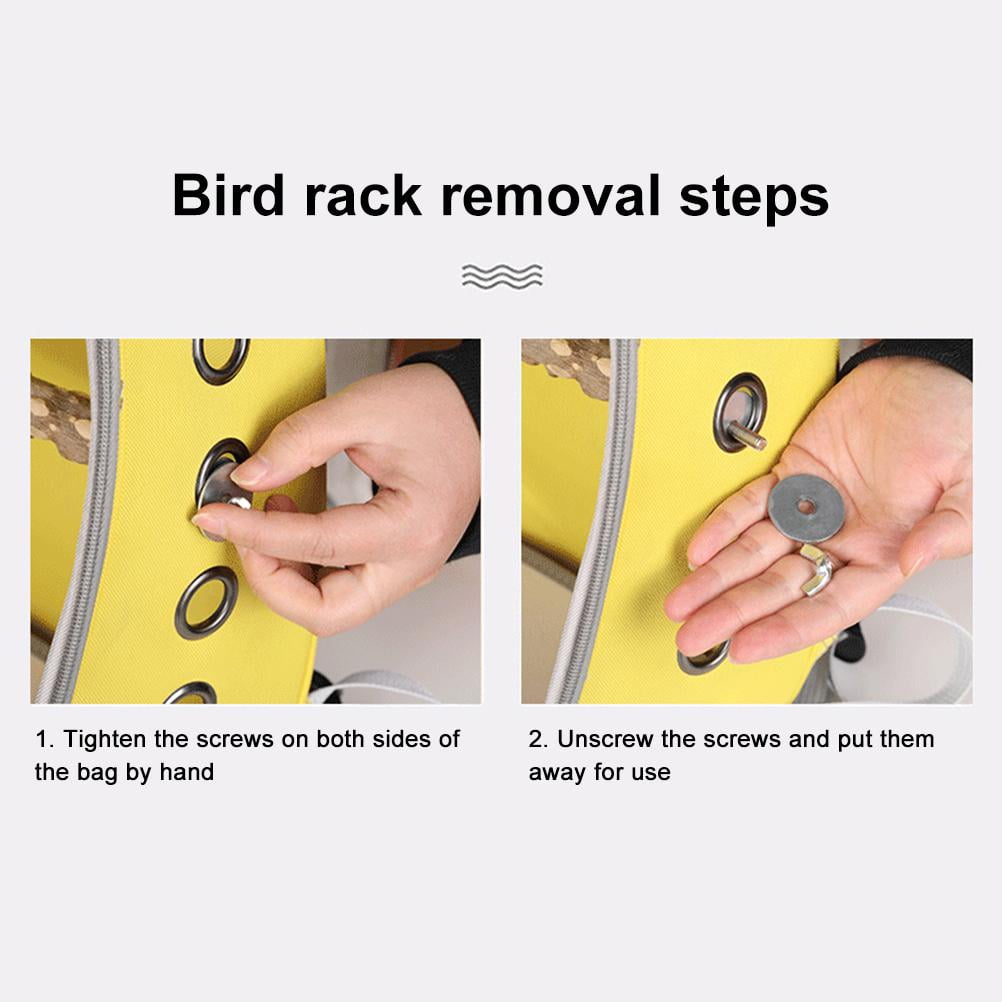 Pet  Carrier Bird Travel Bag Backpack Space  Transparent Backpack Breathable  Backpack