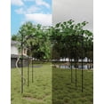 thumbnail image 5 of Aoile Garden Trellis, 79.53" x 79.53" x 79.53" Garden Arch for Various Climbing Plant Garden Decor, Easy Assembly, Black, 5 of 6