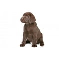 thumbnail image 2 of Chocolate Labrador Puppy Wall Decal by Wallmonkeys Peel and Stick Graphic (18 in H x 13 in W) WM280089, 2 of 4