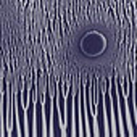 Sunn 0))) - Grimm Robe Demos - Heavy Metal - CD