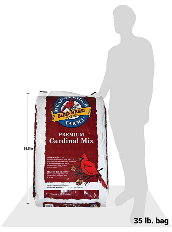 Bird Seed and Food Clearance, Discounts & Rollbacks