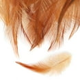 thumbnail image 5 of 8 Styles Assorted Craft Feathers (160Pcs), Natural Chicken Feathers for DIY Earring Wings Dream Catcher Crafts Activities Project Wedding Party Home Decoration Carnival Costume Party Mask Decoration, 5 of 7
