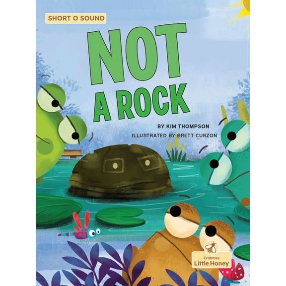 Not a Rock, (Paperback)
