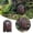 garden decor, variant on Miniature Outdoor Fairy Door For Tree Decoration, Garden And Outdoor Space Decor Accessory, 1 Piece Decorative Wooden Door With Heart-Shaped Window And Intricate Ornamental Iron