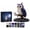 Owl, variant on Mythical Forest DIY Bead Kit Collection, Tiny 3D Beaded Animal DIY Kit, Bead Animal Making Kit for Adults, Creative Fantasy Craft Set, Birthday Decoration Gifts for Beginners (Wolf)