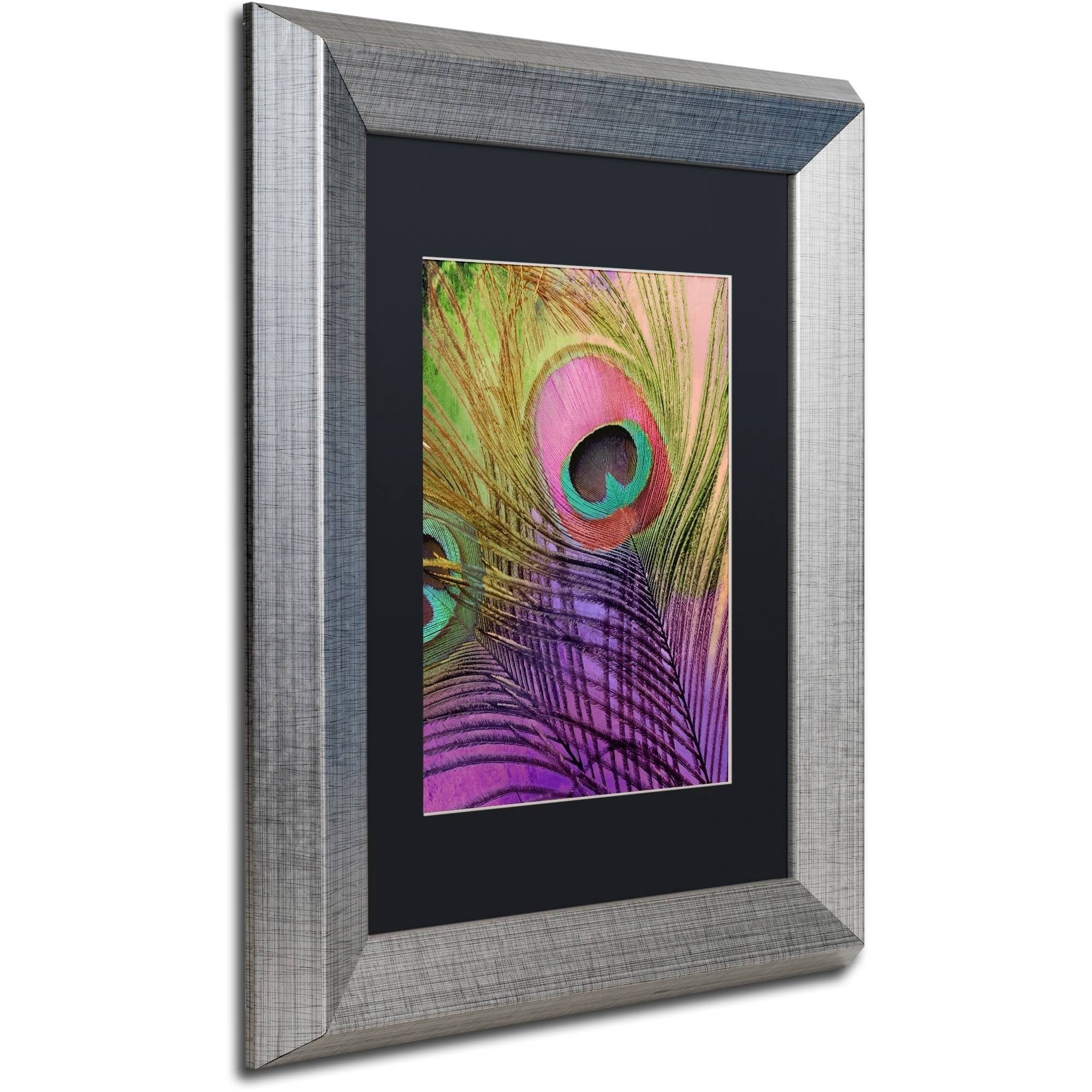 Trademark Fine Art "Peacock Candy III" Canvas Art by Color Bakery Black Matte, Silver Frame