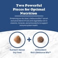 thumbnail image 6 of Blue Buffalo Life Protection Formula Adult Dry Dog Food Salmon & Brown Rice 5lb Bag, 6 of 12