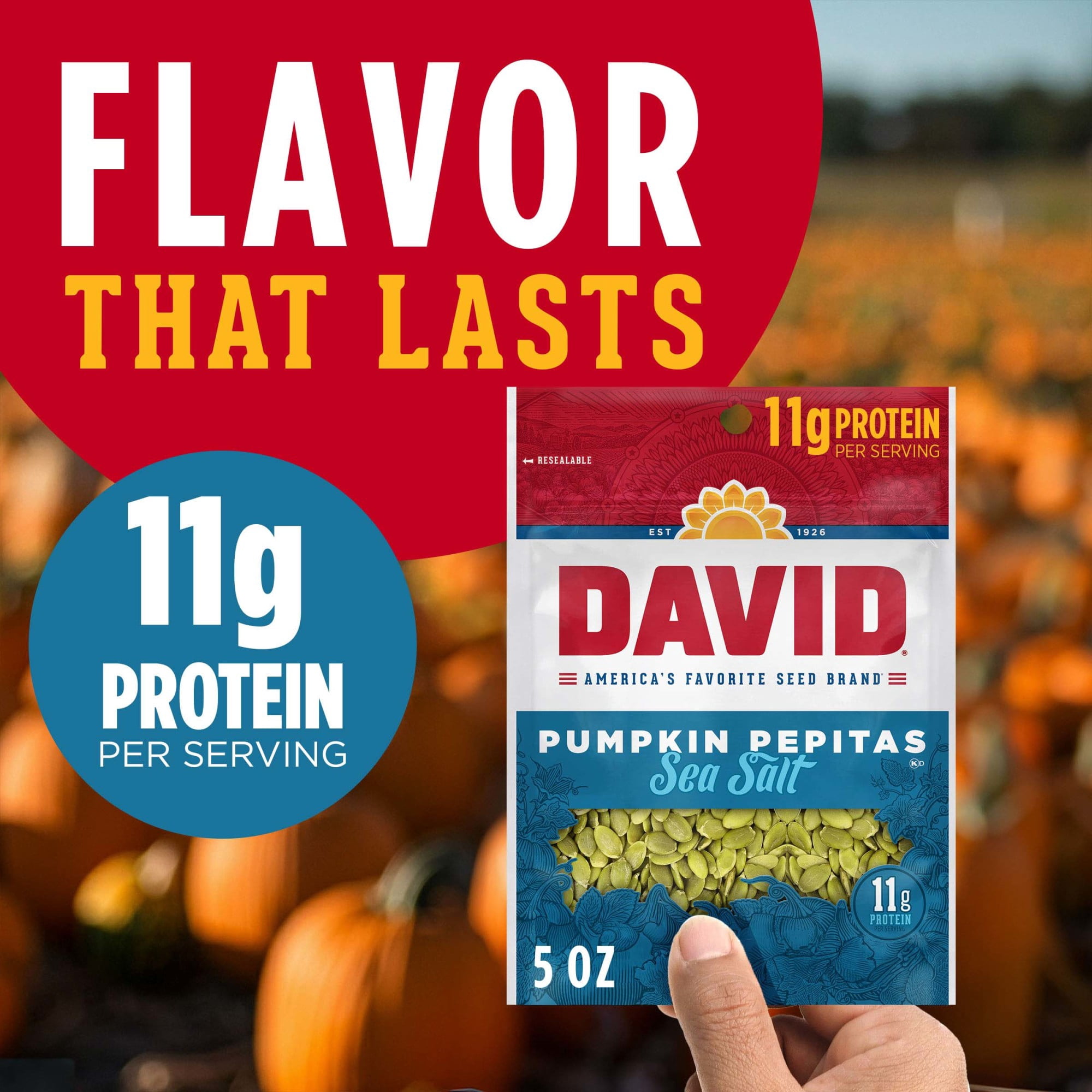 (4 pack) DAVID Sea Salt Pumpkin Pepitas, Salted Pumpkin Seed Kernels, 5 oz
