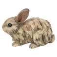thumbnail image 4 of Grande STATUE en Bois Flotté RABBIT, 4 of 5